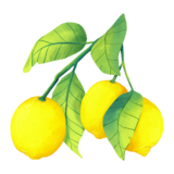Limones