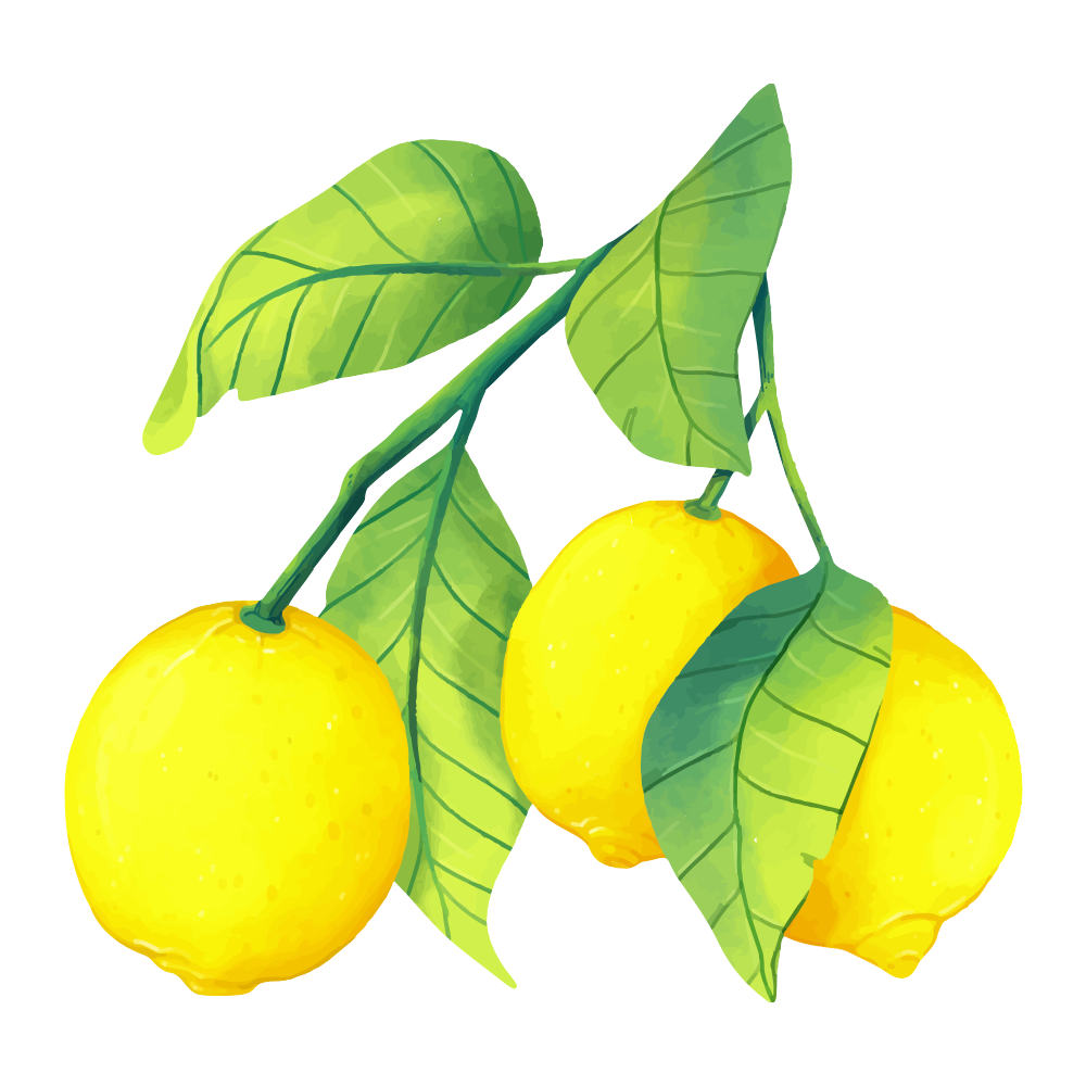 Limones – wtorek • 9:00 (start 15.09)