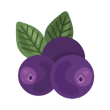 arandanos